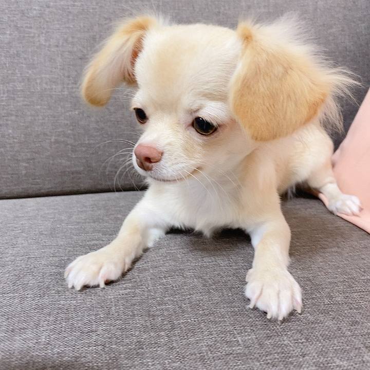 D975f2b9 5780 40fe add0 4f532ab2f79e 1597463610264