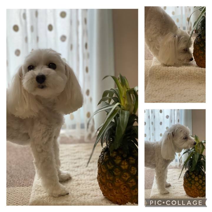 D9761b34 4cb3 4b3c af12 8d0a1e6a697d 1628424881663