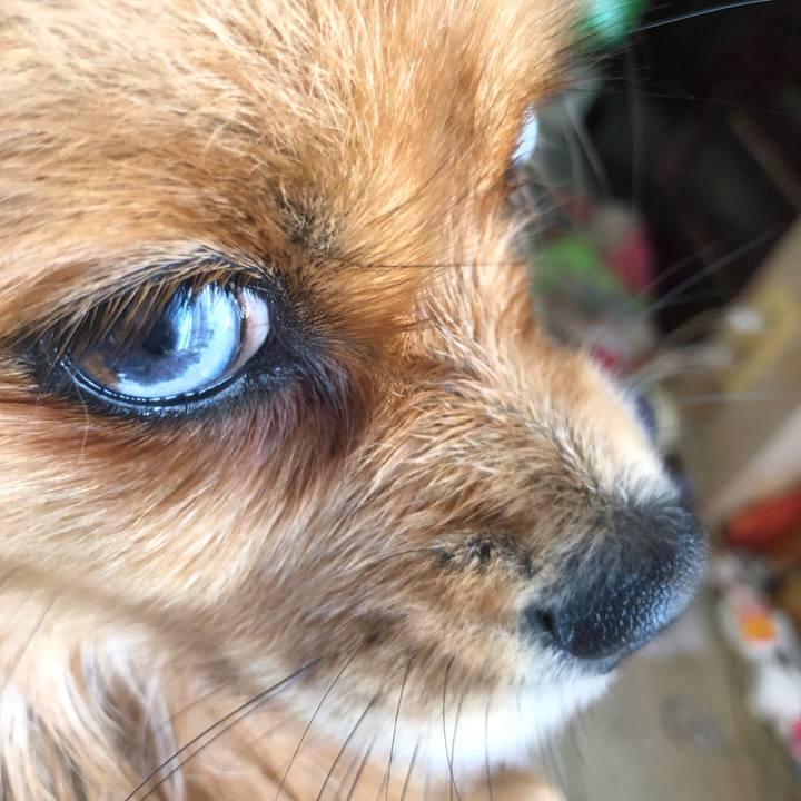 D97624b6 1006 4ce5 a369 499388544ded 1542512671846