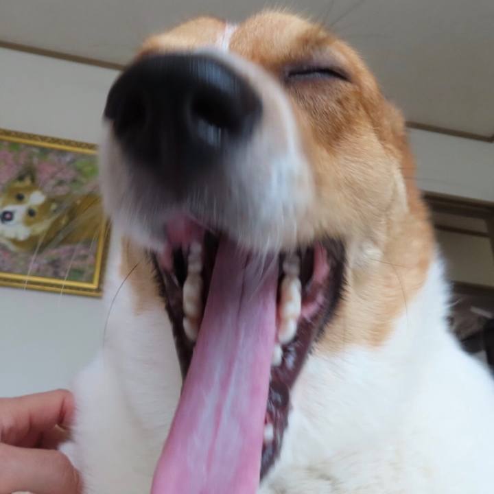 D9762faa c328 4bcd 8648 64f93da7a1eb 1627266767833