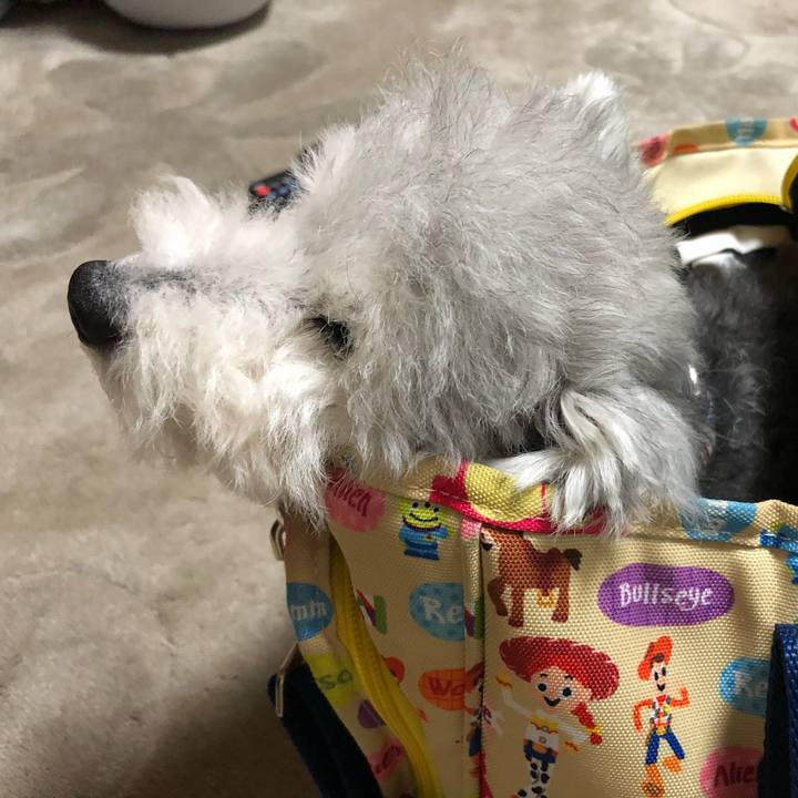 D976375e b8e5 49d4 952d 32da832235ce 1662509014894