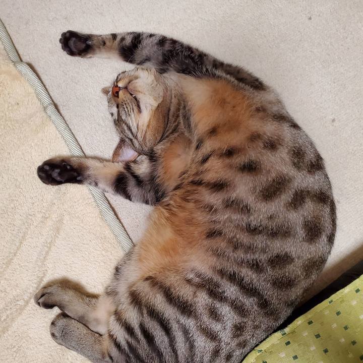 D9763c17 0c88 4310 b28b f8e8571d8b32 1707404439956