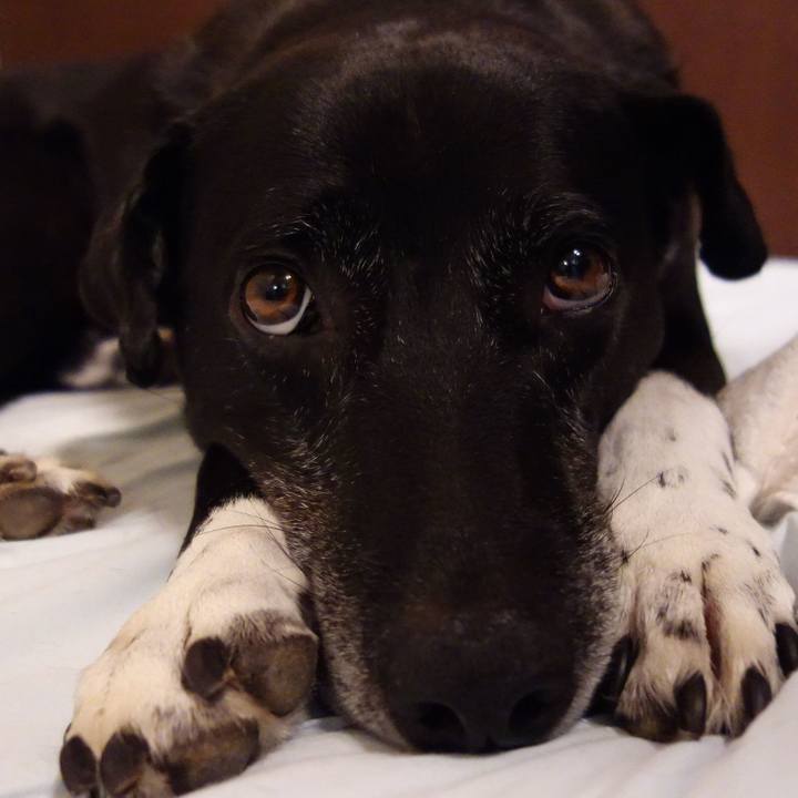 D9766056 473e 476e b276 6092811b9725 1725239283787