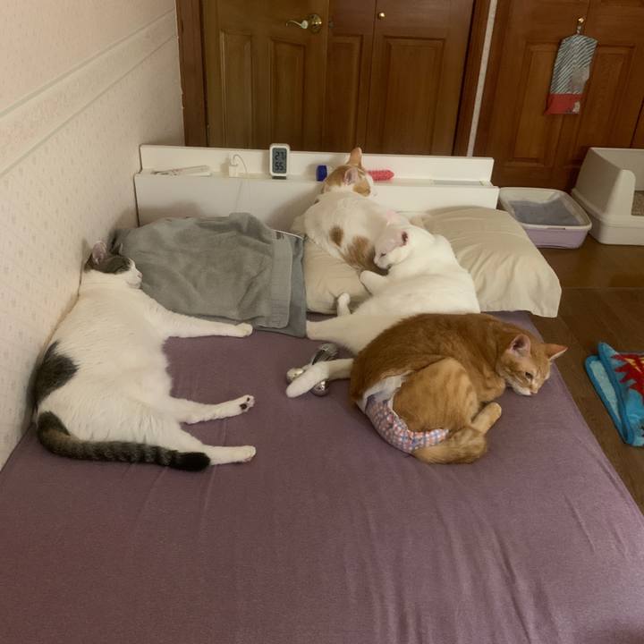 D9767727 cfda 451c 8e6d 638b5f7642ed 1666363122202