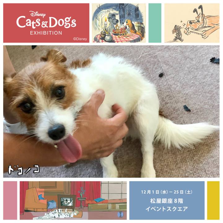 D9767edb cc56 488f b0e2 7c59a9399ee3 1639276393469