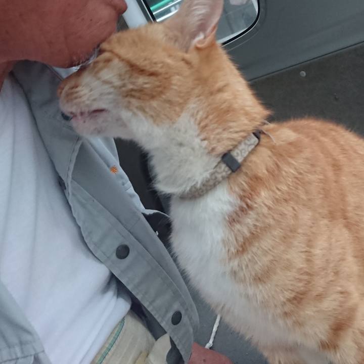 D97682f8 b68d 4633 82cf 1aeb783d8009 1593116104472