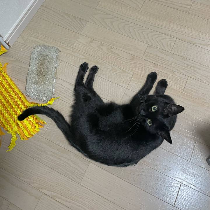 D976b899 1b1a 4f76 a978 30591d15a57d 1670158297562