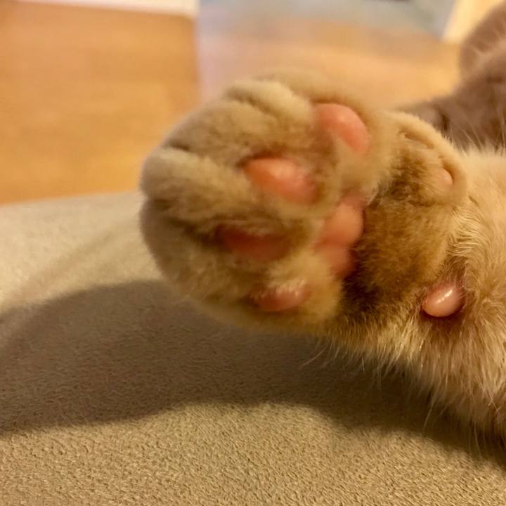 D976c2a3 9592 42ba 89cf 0695cf42985d 1519483951129