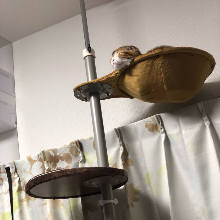 D976f425 f18b 4f31 bdec 7f77c3cfb4de 1517128172408