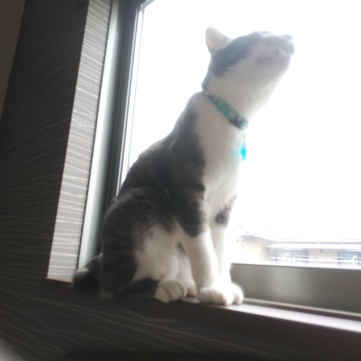 D976fdcb fd93 4b95 a79f bdeb54ae24ff 1588717117193