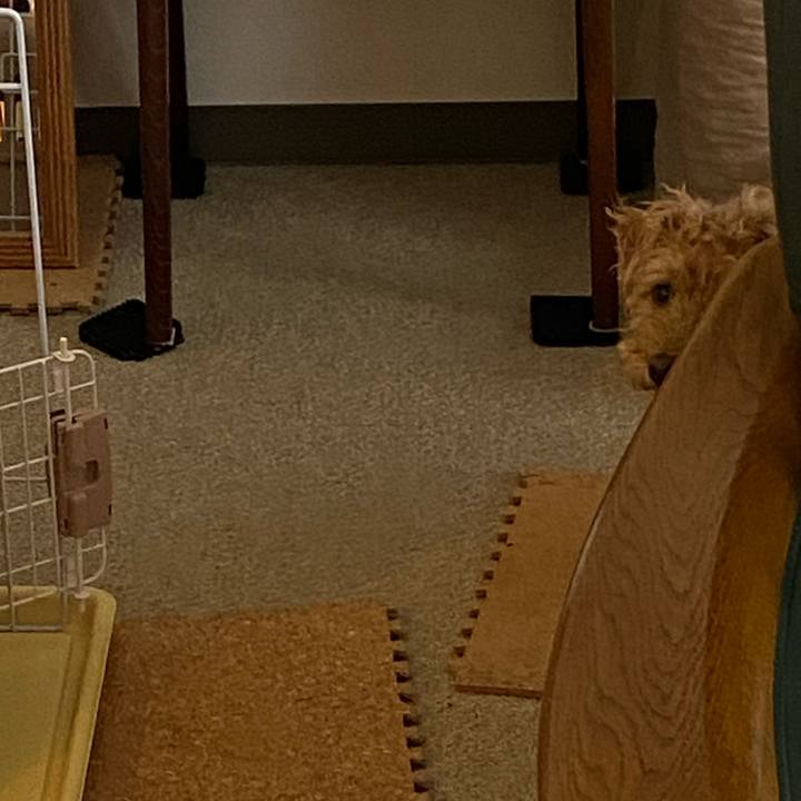 D9770fc4 0898 4a3c 9757 2d0731e5294a 1675983186840