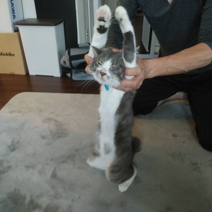 D9772ee9 7c01 4d78 be79 1b49cfedd8ef 1592088840720