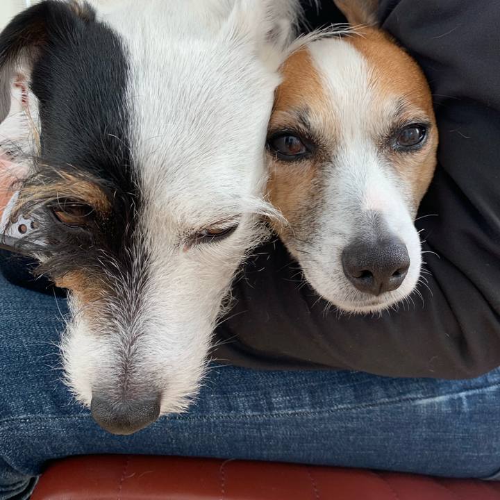 D977310c 7656 461a a606 a7256e64dddf 1614477251254