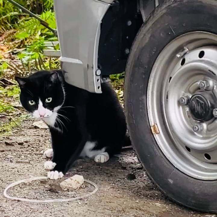 D9773427 a9e1 4cae 8ccc 8e22b046a1c1 1731814401259