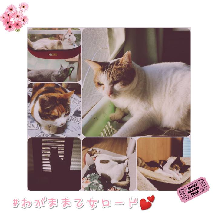 D9775280 e76f 4bd7 8f0c 6a03bb1a68fb 1568372139656