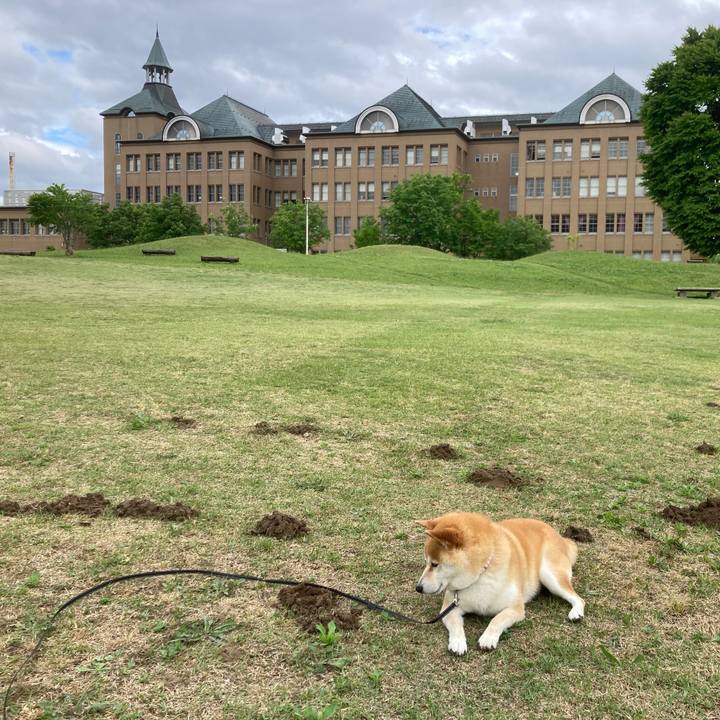 D9775e03 e683 4037 b448 af23503377dd 1716188717335