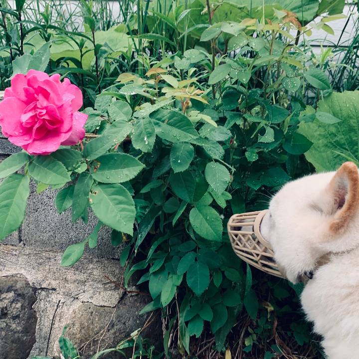 D977ae56 0439 49bd 80ea ae783ba652d6 1592166969982