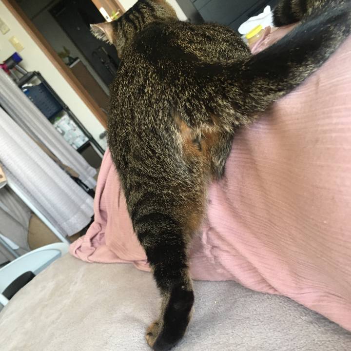 D977ecd8 a089 4d85 8915 61fd7d09407f 1589178788193