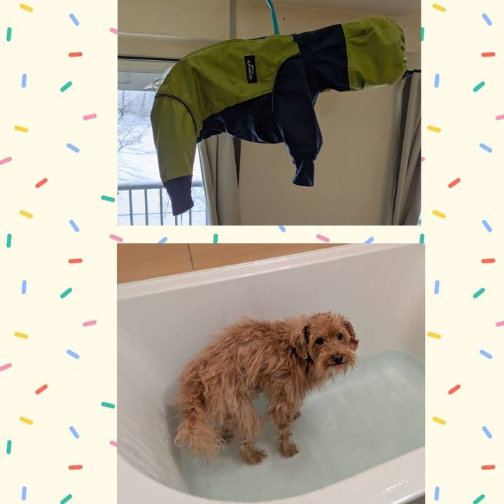 D977ef73 2ce4 4058 9359 c466f7852c3f 1739401401205