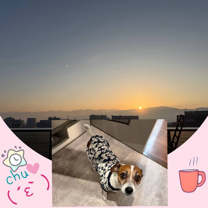 D9780dcf 1ce1 4907 a688 95405c42e2f3 1770340245893