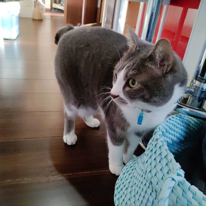 D9782a03 37be 4ccf 8081 7084015d9370 1711492858521