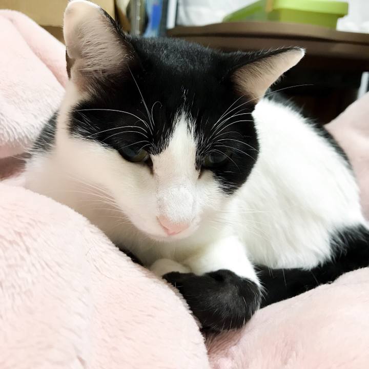 D9782a35 f5fd 4610 878b 22e02afeaf90 1510452001352