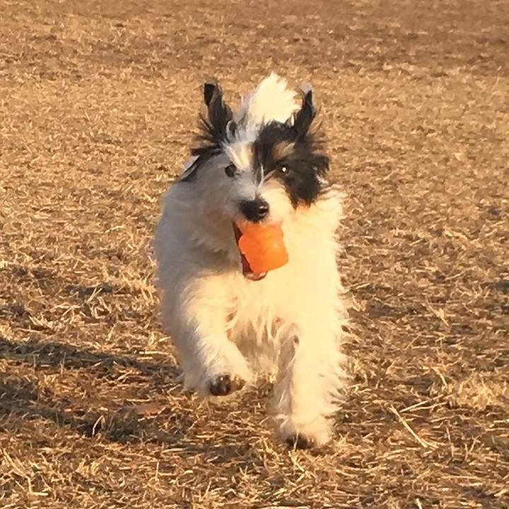 D978316a 9162 48df 8b59 b3fb711e2d41 1521066320700