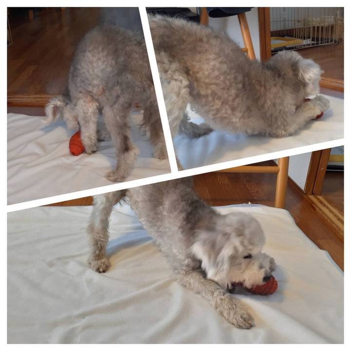 D9786f7e 8e2a 4f21 a835 e53a238aa432 1636710466381