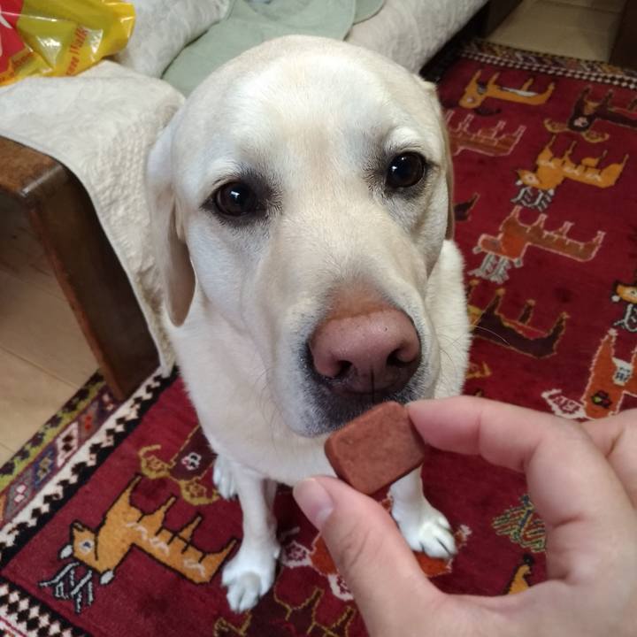 D978a994 b7ed 4f62 abe3 47e9d1133251 1605841067388