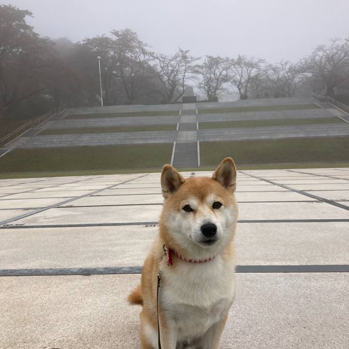 D978b2dc 2ca5 427f 81fa ee4eeef21707 1729900585123