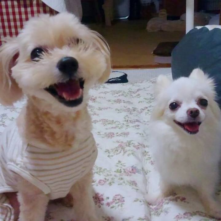 D978bb94 abf0 477d 9f03 2c8ae63f022e 1535713529206