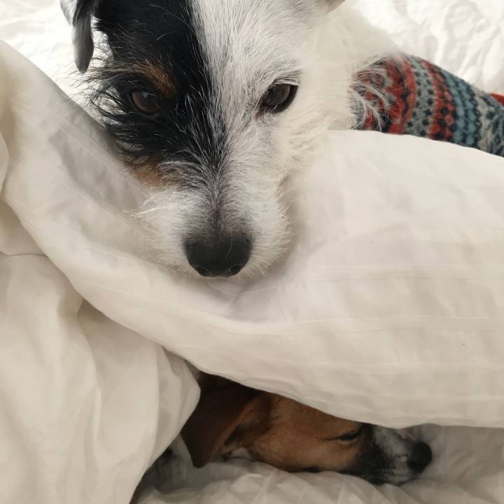 D978d610 af7f 46b0 8c7f b290c5349c9f 1513120733339