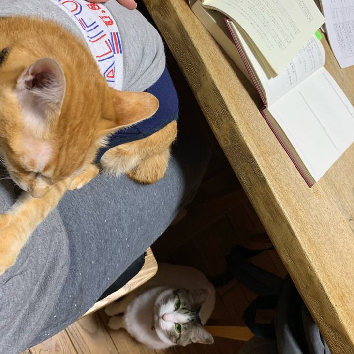 D978d974 84b8 4149 9fb9 f759b595fb5e 1611639584990