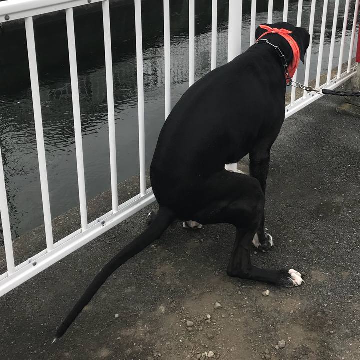 D978f637 ebe8 4363 9bf0 9f6db987f281 1533422235030