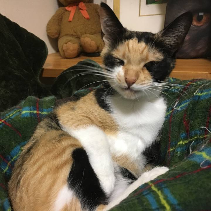 D97916b4 3034 4fe8 a03d 71e407ae0239 1508236121064