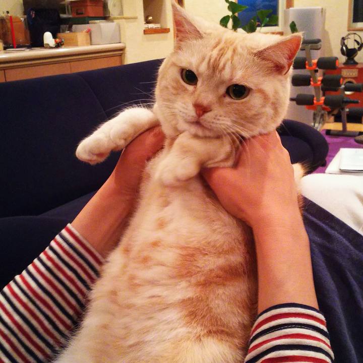 D9791f40 a956 459c a456 033bb10e0ae9 1522577882375