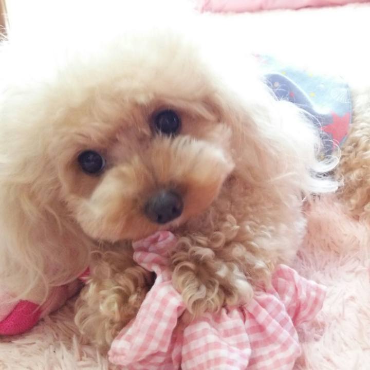 D9792fa3 6fb4 47f3 9f79 f8b6afe4277e 1538814687634