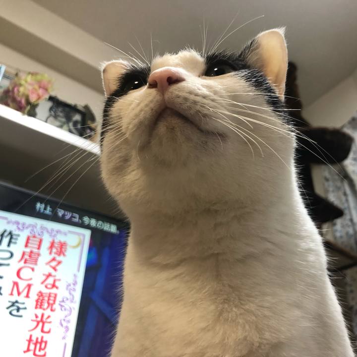 D9797c9f d328 4a67 be15 534ae3a192be 1573045439664