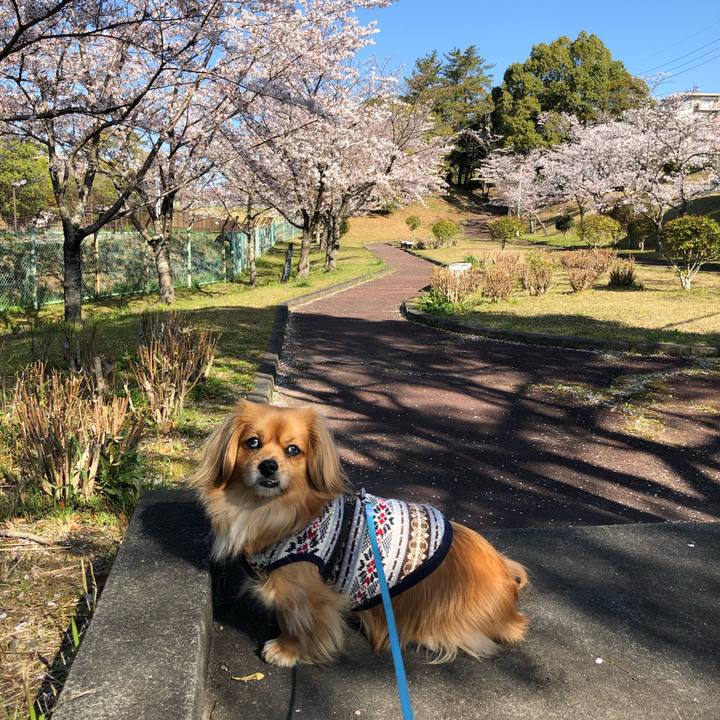 D9798ea9 4177 45cf 8278 5e8dd324f58f 1555114633494