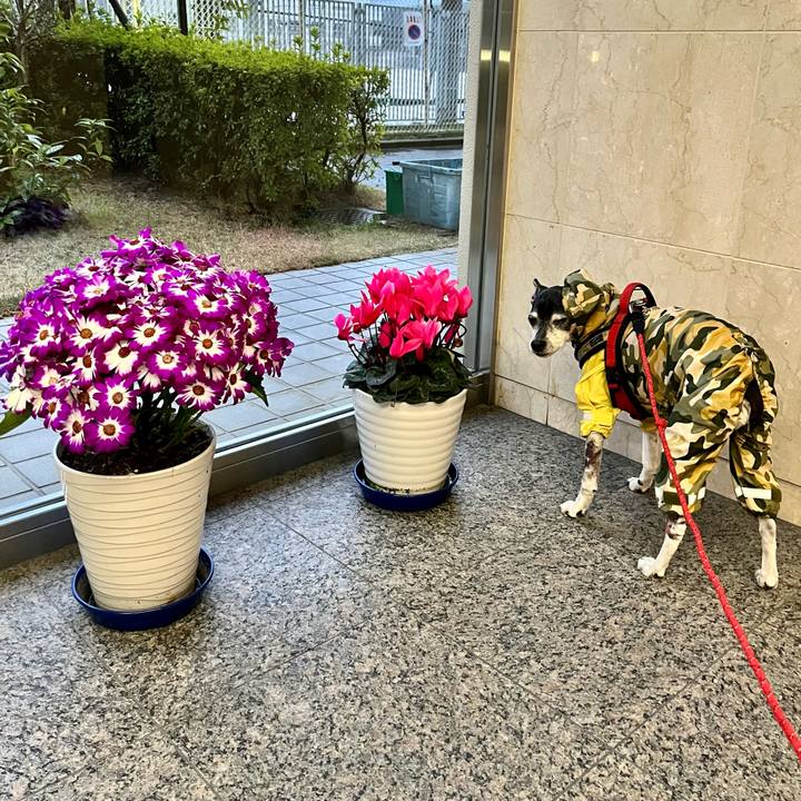 D979b919 8bf3 438d ab40 830465d65801 1647900692853