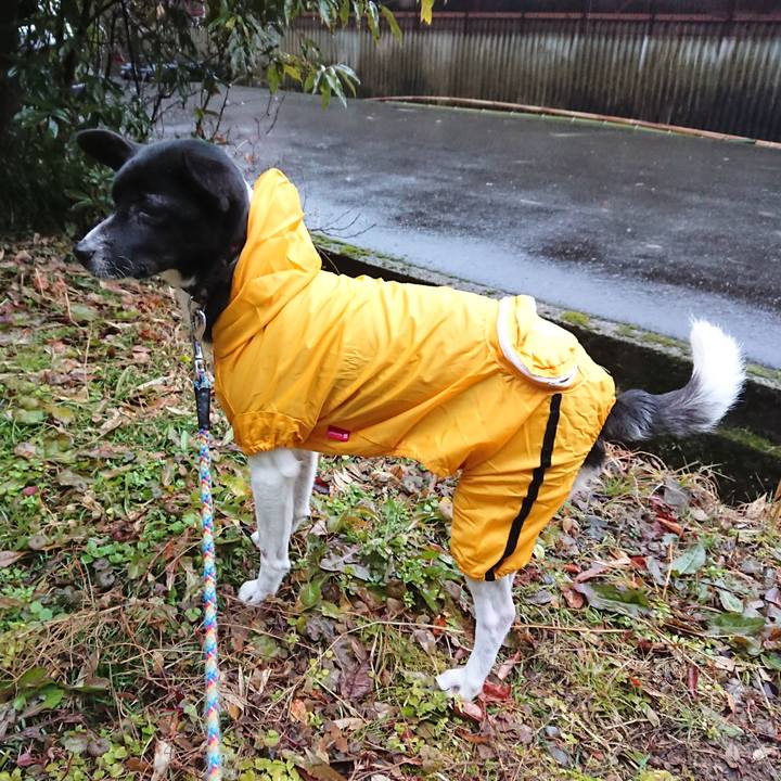 D979d886 b7ec 4470 b4f1 71c48a6c0218 1516145193413