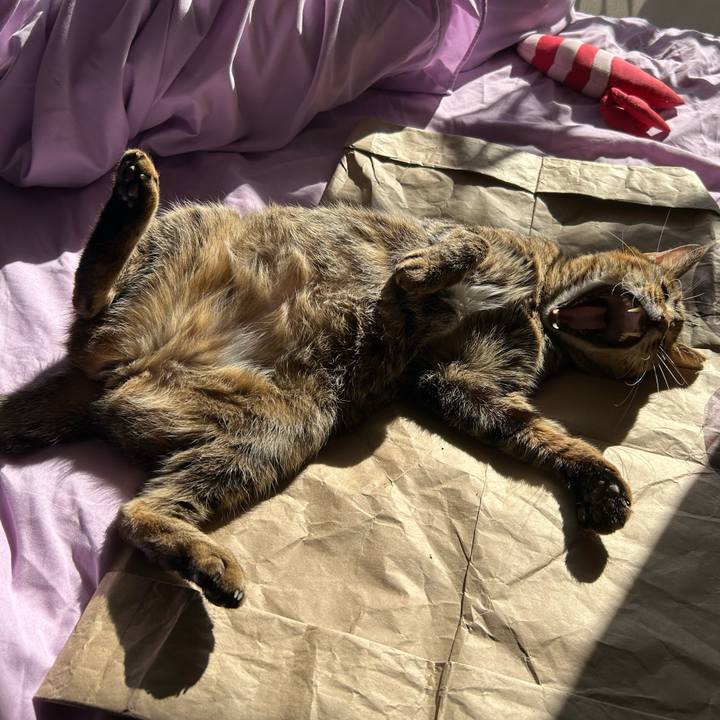 D979dba2 3da9 4ef4 9891 ebb8f1ad60bb 1730609927714