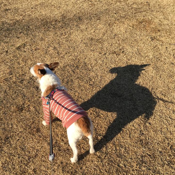 D979dc4b 9b28 4a63 9dec 58ea73f53501 1646176956987