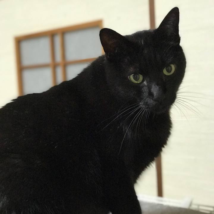 D979de40 05ed 44c1 8861 aed3a2fdfaf6 1512781083979