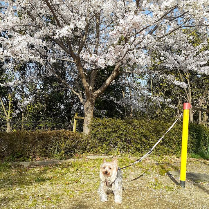 D97a2ab6 ab6a 477a 9ced d36fee2dfe21 1617146131300