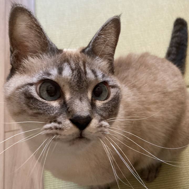 D97a32cd 6a8e 435d 950b d0fb74328b35 1735905039140