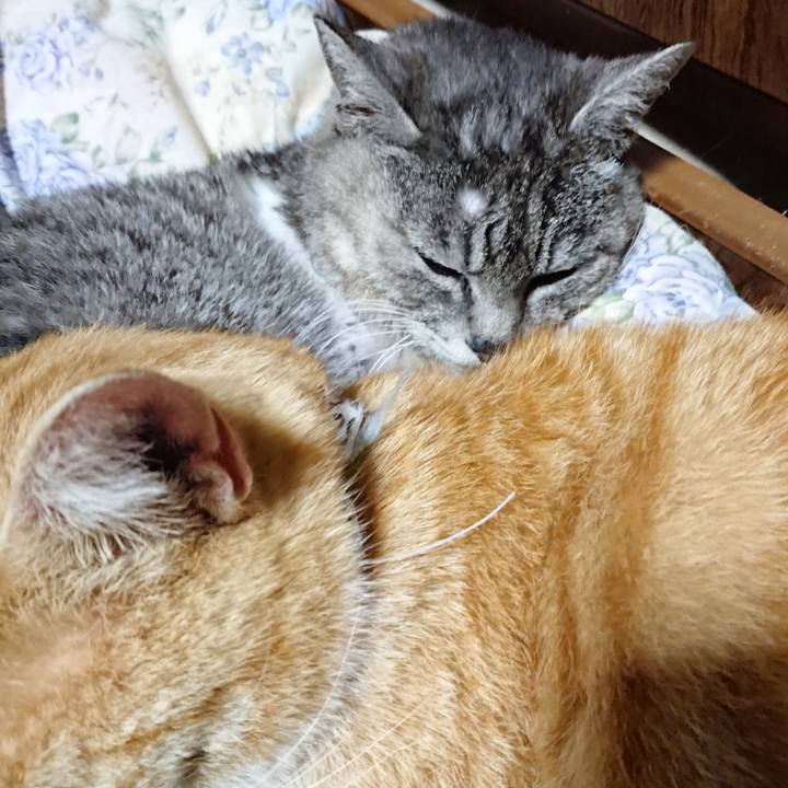 D97af138 5c59 4fc3 b1a1 46d8b9ef879f 1589027957534