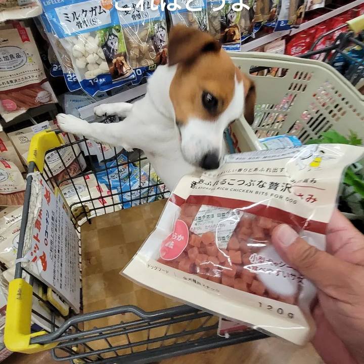 D97afb02 f360 45ef abe9 6255de8421c3 1655338846530