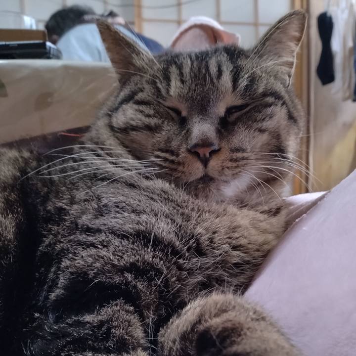 D97b1a44 34ee 4065 b194 6f6181cafb8d 1674606816405