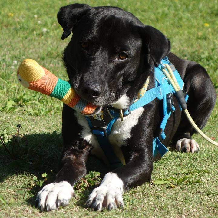 D97b4983 f245 4b7d 8cb9 d55bd476e4c4 1619829344573